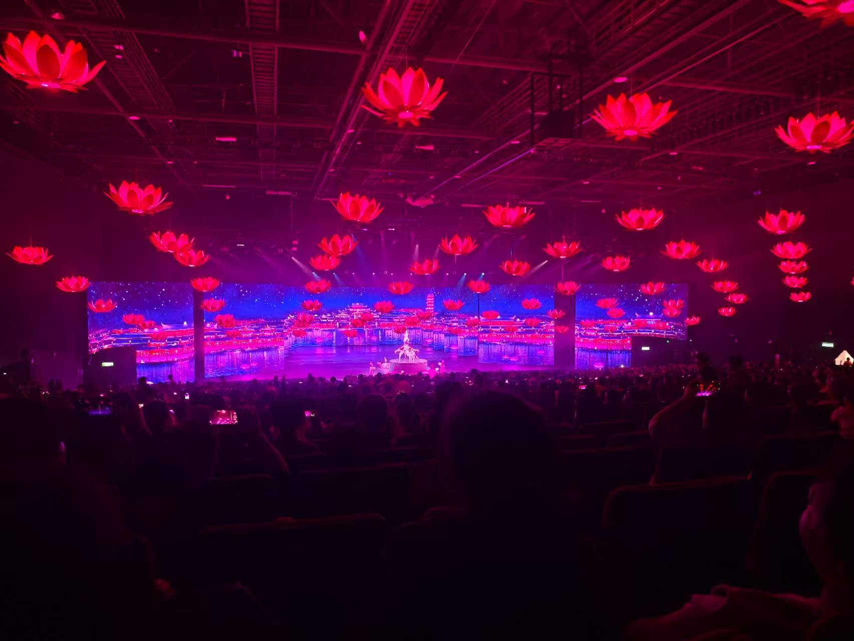 演艺城红莲花灯